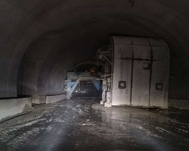 真人游戏平台官网