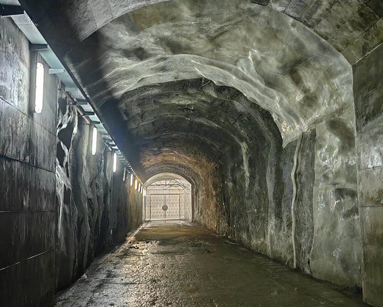 真人游戏平台官网